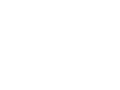 paywizard
