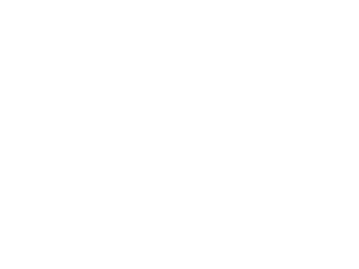 ubs-white